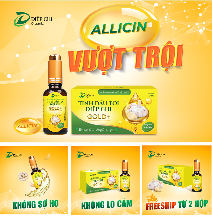 Dầu tỏi diệp chi Gold